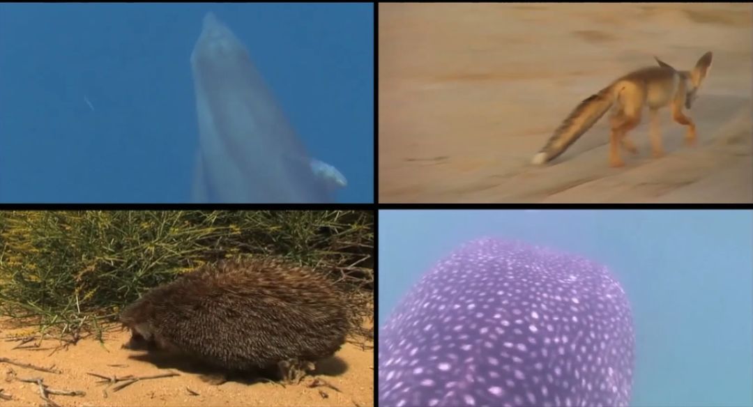 威尼斯(886699-WNS认证)有限公司官网