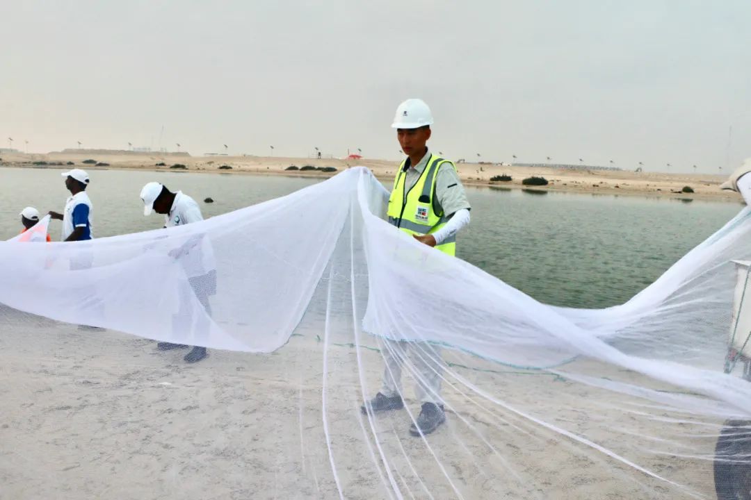 威尼斯(886699-WNS认证)有限公司官网