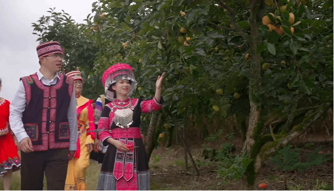 威尼斯(886699-WNS认证)有限公司官网