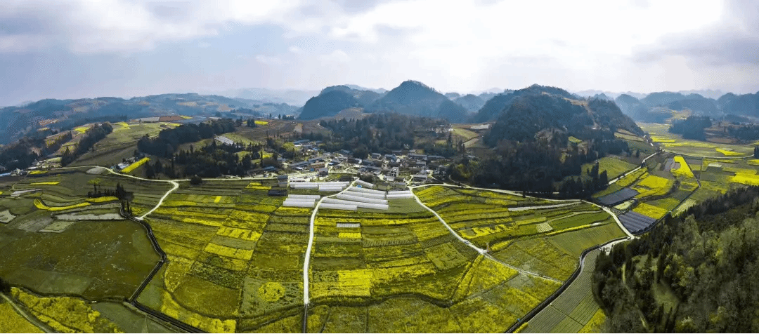 威尼斯(886699-WNS认证)有限公司官网