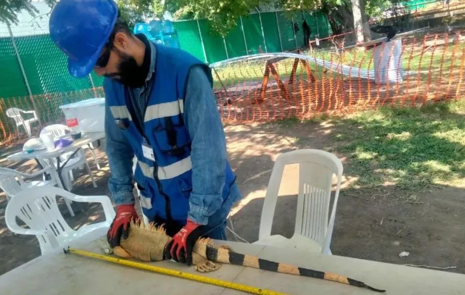 威尼斯(886699-WNS认证)有限公司官网