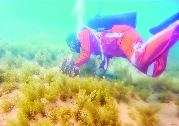 威尼斯(886699-WNS认证)有限公司官网