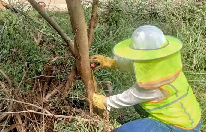 威尼斯(886699-WNS认证)有限公司官网