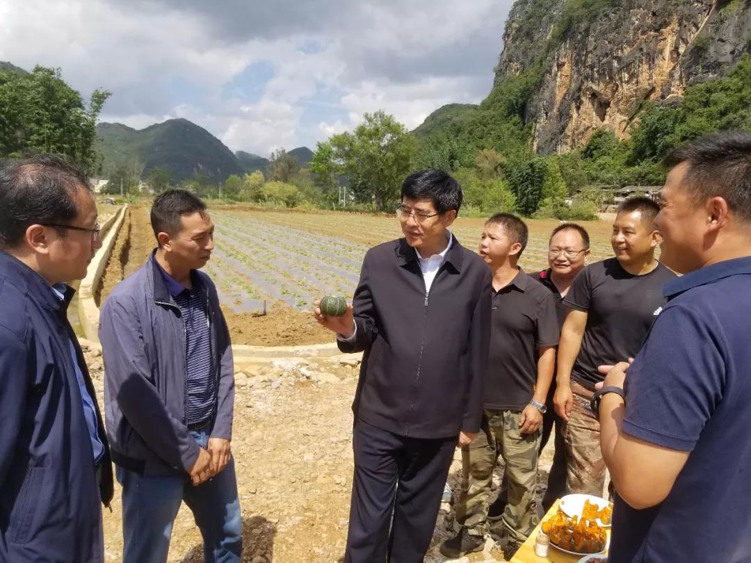 威尼斯(886699-WNS认证)有限公司官网