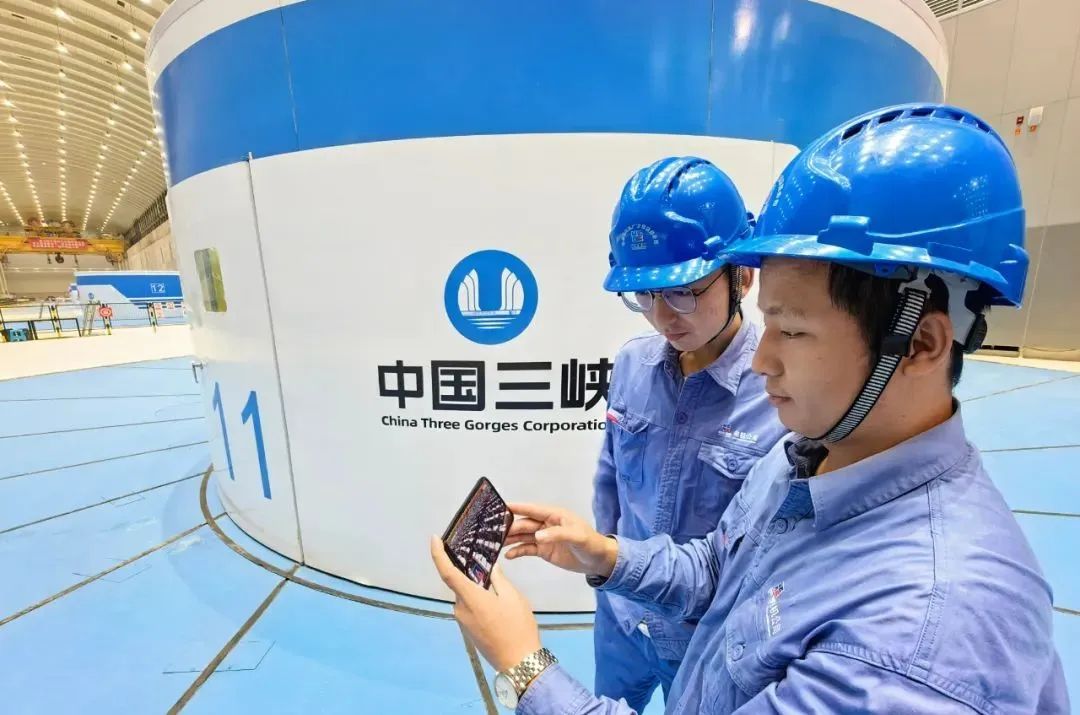 威尼斯(886699-WNS认证)有限公司官网