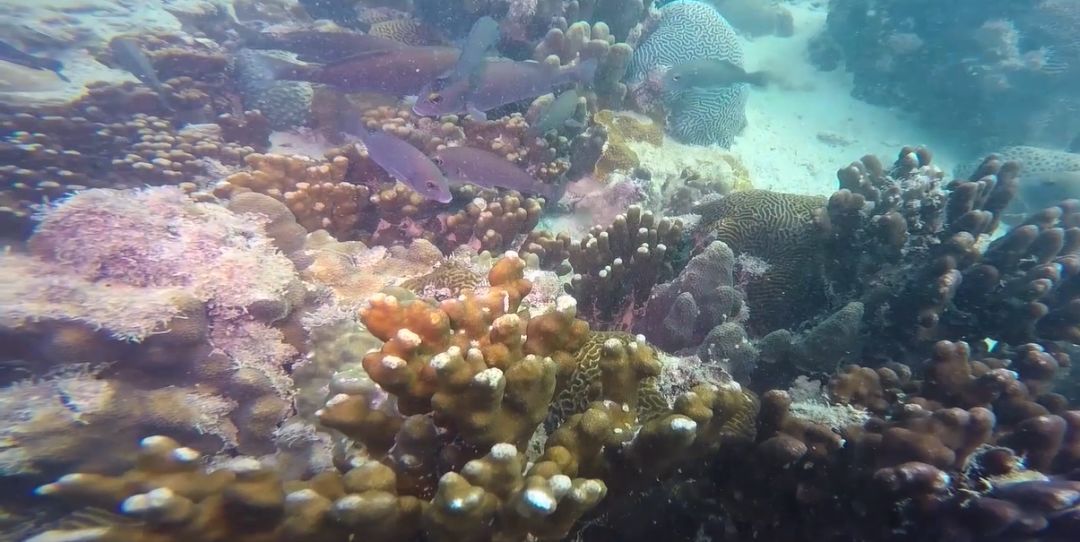 威尼斯(886699-WNS认证)有限公司官网