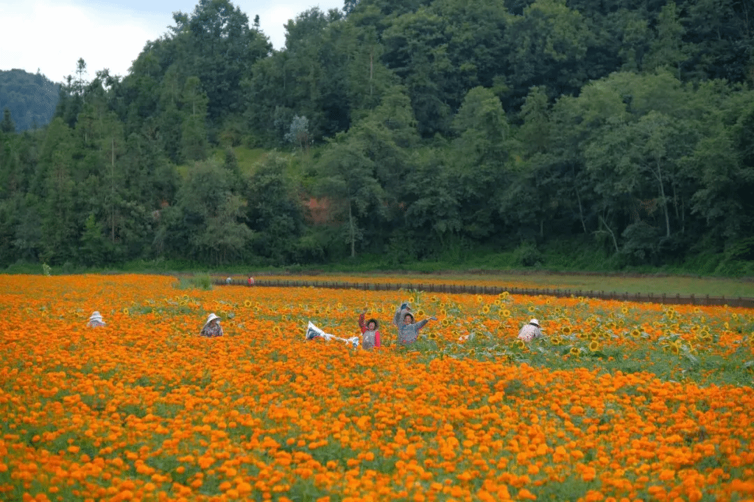 威尼斯(886699-WNS认证)有限公司官网