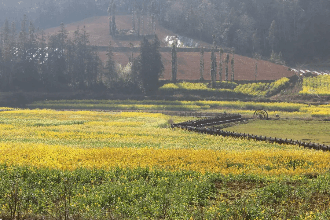 威尼斯(886699-WNS认证)有限公司官网